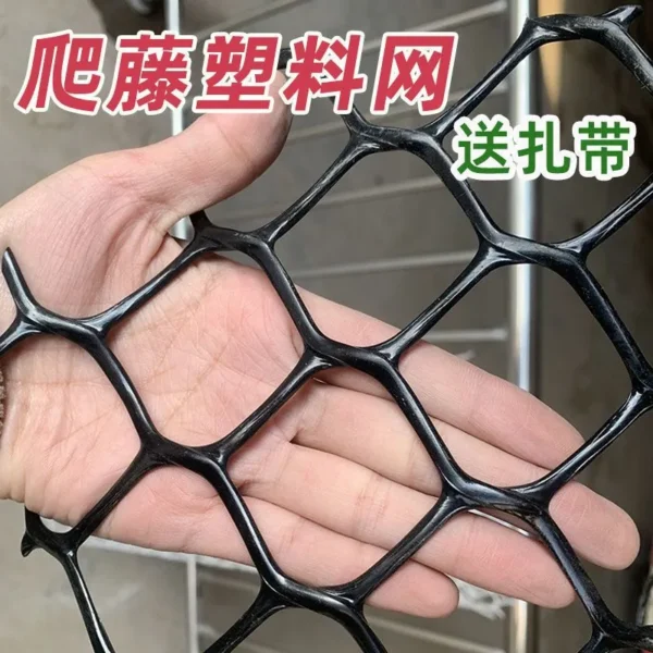Grid 5X5cm塑料多用途防护网(50m)