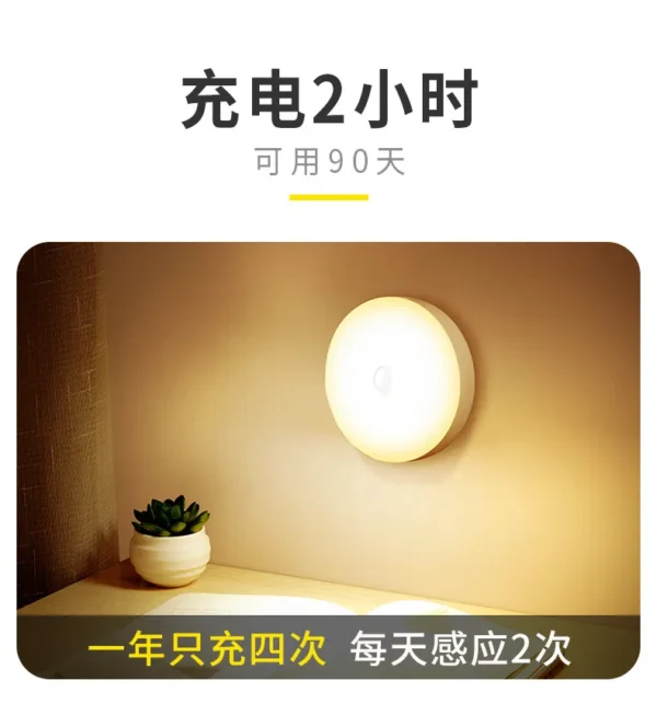 Induction lamp of human body