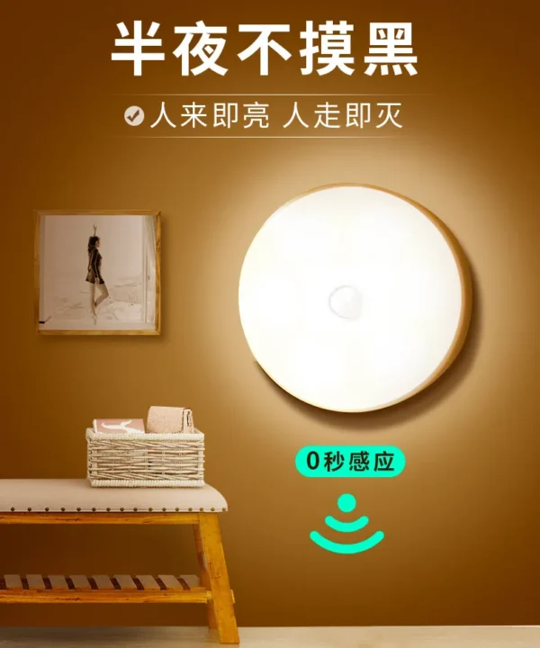 Induction lamp of human body