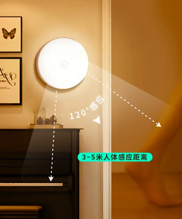 Induction lamp of human body