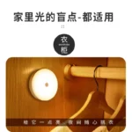 Induction lamp of human body