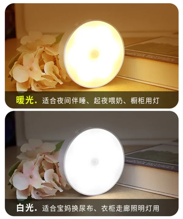 Induction lamp of human body